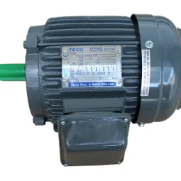 Induction Motor TECO