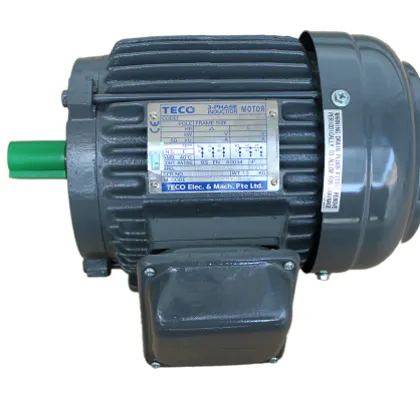 TECO Induction Motor TECO 1 motor_teco