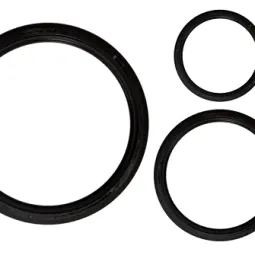Seal 