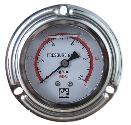 OTHERS  1 pressure_gauge