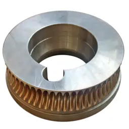 Worm Wheel 